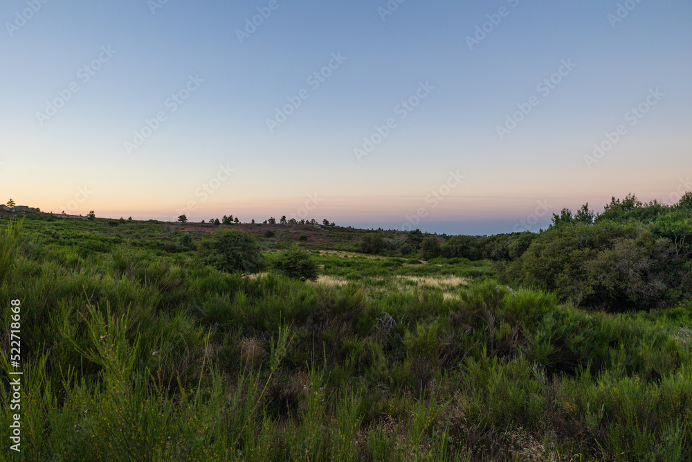 Paysage au lever du soleil sur les landes de bruyères et de fougères du Mont Caroux