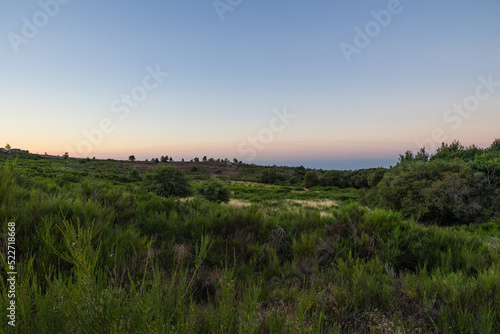 Paysage au lever du soleil sur les landes de bruy  res et de foug  res du Mont Caroux