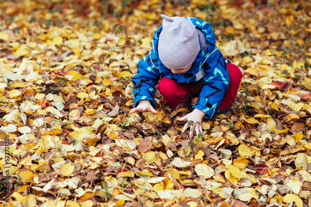 Cute child playing with fallen leaves on an autumn day Cute child playing with fallen leaves on an autumn day