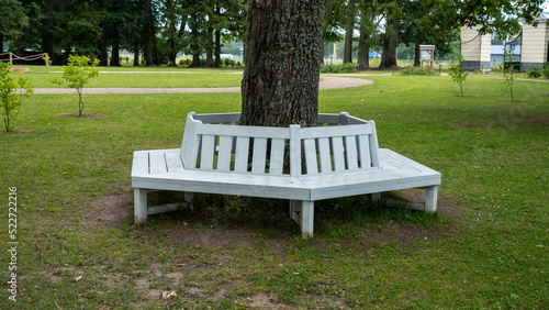 A white wooden bench in the park near a tree trunk in the shade of leaves
