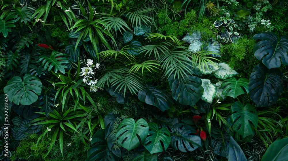 Creative nature wall background, tropical leaf banner or floral jungle pattern concept. Creative nature wall background, tropical leaf banner or floral jungle pattern concept.