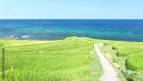 夏の棚田と海の風景　輪島市白米千枚田　8月