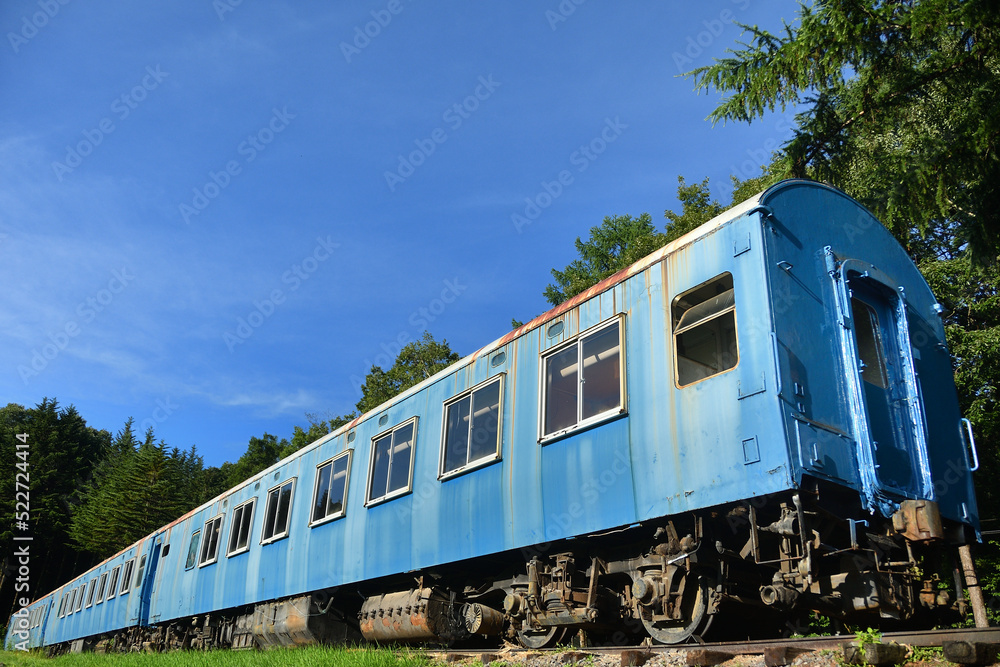 Obraz premium 森の中にある朽ちたブルートレイン