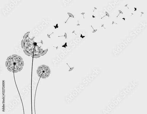 Dandelion with flying butterflies and seeds  vector illustration. Vector isolated decoration element from scattered silhouettes.