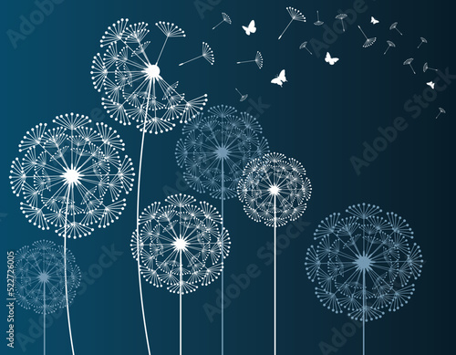 Dandelion with flying butterflies and seeds, vector illustration. Vector isolated decoration element from scattered silhouettes.