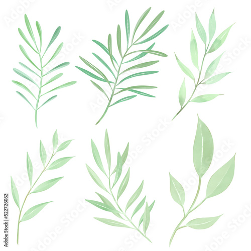 green leaves seamless pattern. Set of lovely watercolor leaves and branches. Botanical Png illustration.