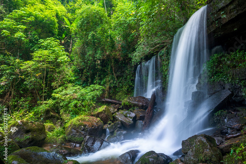 waterfall in the forest