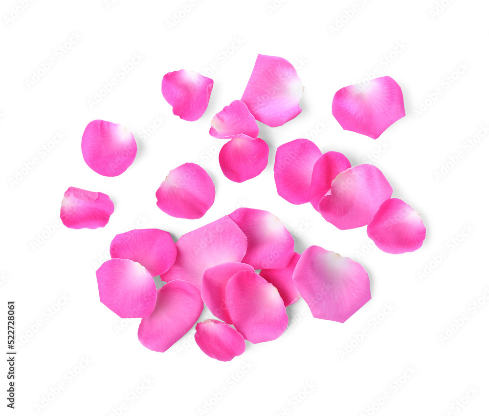 Many pink rose petals on white background, top view Many pink rose petals on white background, top view