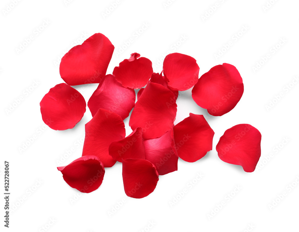 Many red rose petals on white background, top view Many red rose petals on white background, top view