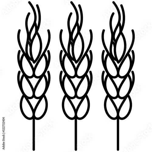 Barley 