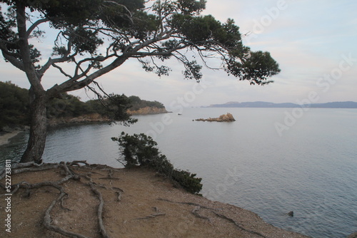 Presqu'île de Giens