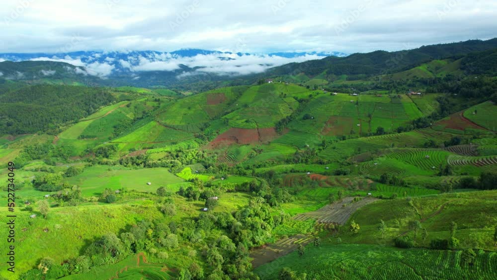Aerial view of drones flying over rice terraces in Pa pong piang rice terraces, Chiang Mai, Northern Thailand. One of the beautiful tourist destinations in Southeast Asia. Nature background. 4k drone
Aerial view of drones flying over rice terraces in Pa pong piang rice terraces, Chiang Mai, Northern Thailand. One of the beautiful tourist destinations in Southeast Asia. Nature background. 4k drone