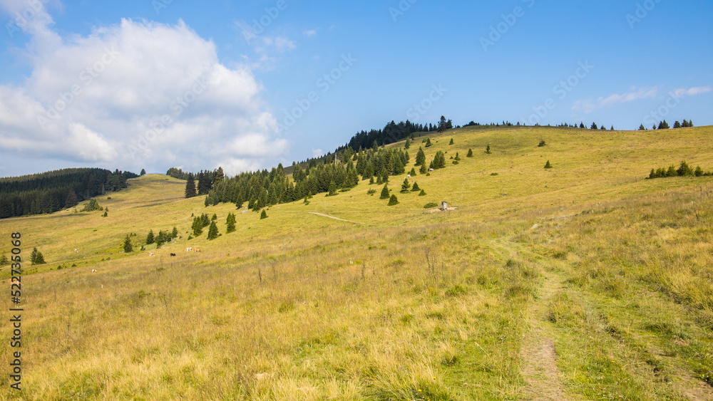 Fototapeta premium Idyllic mountain landscape early in the morning in Austria