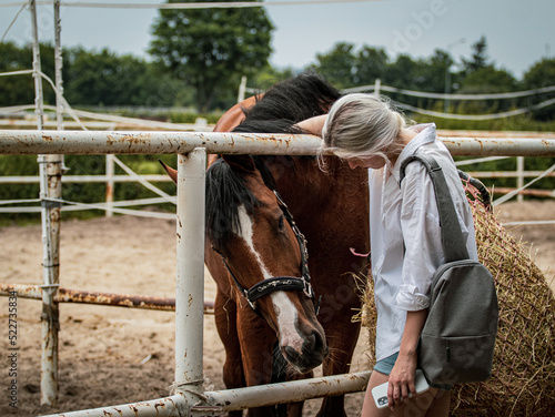 girl petting horse