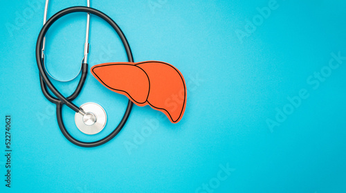 A stethoscope and liver shape made of paper are over a light blue background