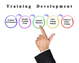 Five stages of training development