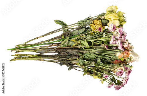 Withered flowers isolated on white background. Withered chrysanthemums. Withered eustoma. Bouquet of withered flowers. photo