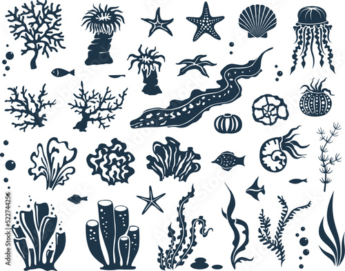 Underwater world design elements collection. Marine wildlife silhuettes set. Seaweed, corals, shells and fishes. photo