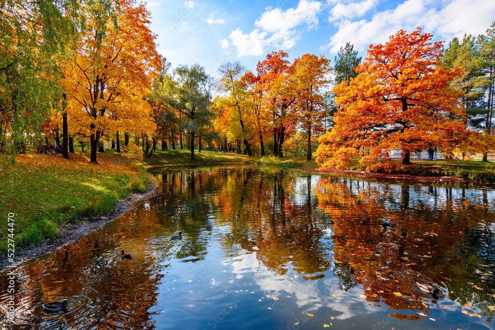 Grand pond in autumn in Catherine park, Pushkin (Tsarskoe Selo), Saint Petersburg, Russia