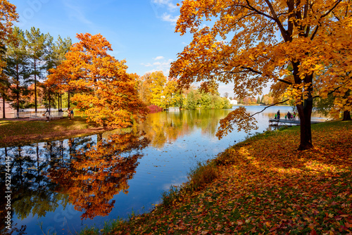 Autumn foliage and Grand pond in Catherine park  Pushkin  Tsarskoe Selo   Saint Petersburg  Russia