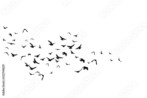 Flying birds. Decoration element from scattered silhouettes.
