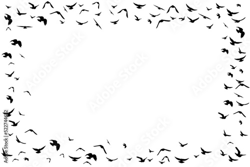 Flying birds. Decoration element from scattered silhouettes.