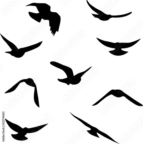 Flying birds silhouettes collection. Vector decoration elements.
