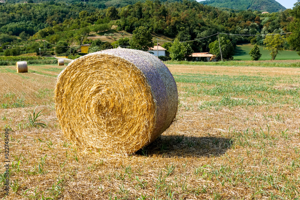 hay bales in the field in rural Italy for a agricultural and farmland concept