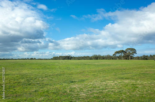 Background texture of large park with well-maintained green grass lawn and some Australian native trees in the distance against blue sky with dramatic cloud. Copy space for text. © Doublelee