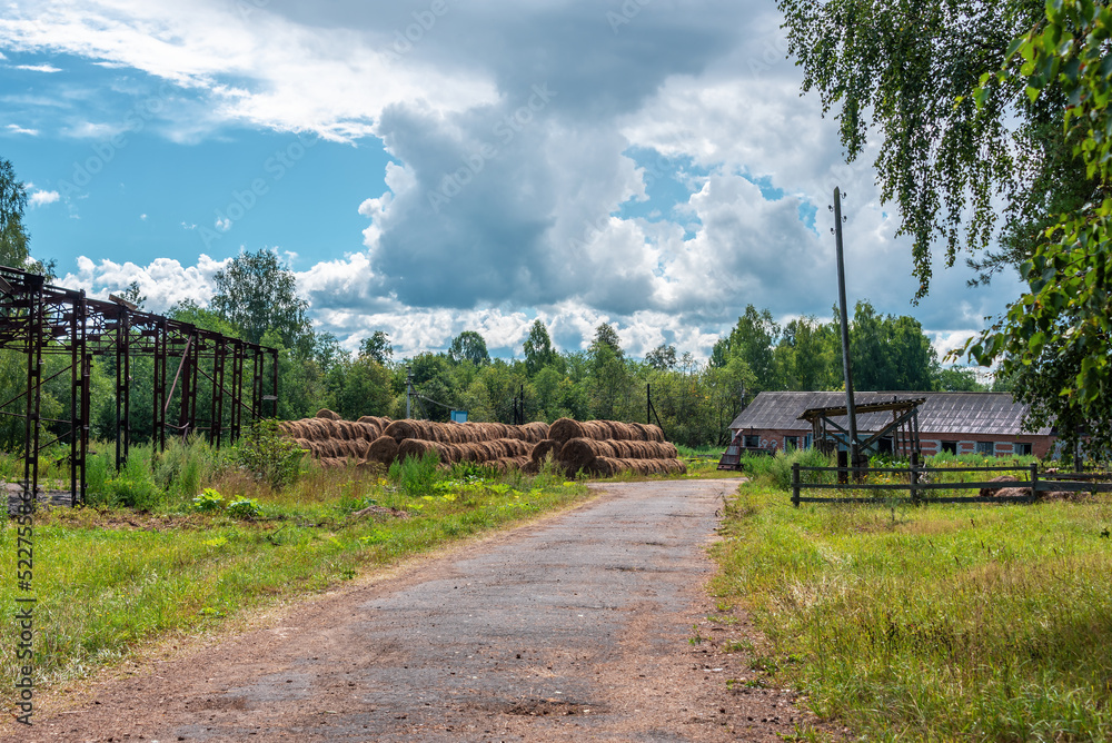 Haystacks on an agricultural farm. Haystacks on an agricultural farm.