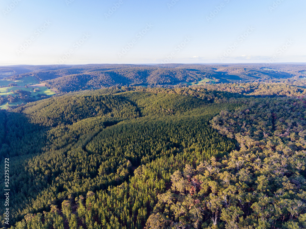 forested landscape of rolling hills forested landscape of rolling hills