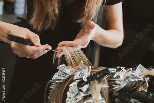 Hair Coloring In A Beauty Salon. Professional wizard paints the hair in the salon. Beauty concept, hair care. Hairdressing Services.