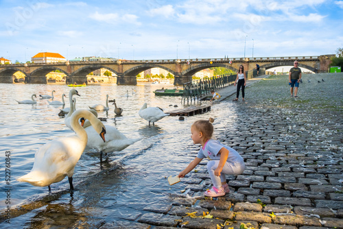 Foto Small girl feeding swans on Vltava River embankment in Prague, Czech Republic