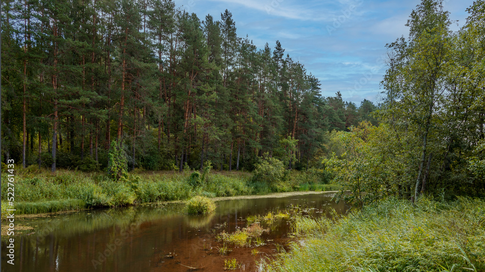 Landscape with forest river and old wooden bridge across the it. Landscape with forest river and old wooden bridge across the it.
