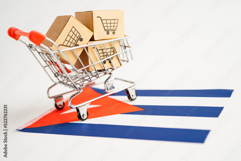 Box with shopping cart logo and Russia flag, Import Export Shopping online or eCommerce finance delivery service store product shipping, trade, supplier concept.