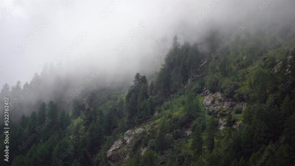 Clouds drifting over the forest after rain showers in the Swiss mountains. Clouds drifting over the forest after rain showers in the Swiss mountains.