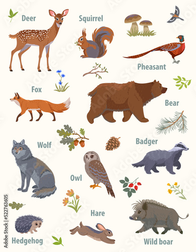 set animals