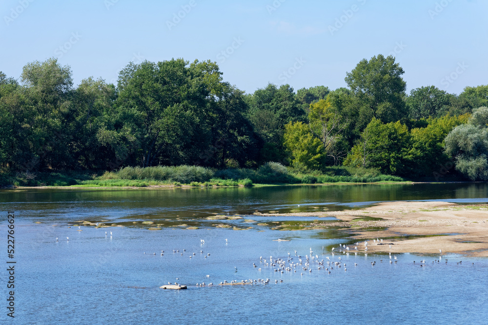 Mahyses island protected natural area in the Loire Valley near Saint-Benoist-sur-Loire village Mahyses island protected natural area in the Loire Valley near Saint-Benoist-sur-Loire village
