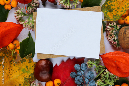 postcard layout. autumn composition. frame from autumn leaves and fruits and space for text. congratulation. invitation