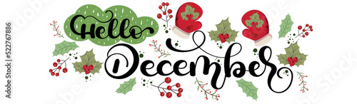 Hello December. DECEMBER month vector decoration with flowers and leaves. Illustration month December. Hello Winter	
