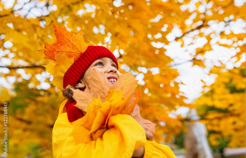 A girl with a wide smile throws up red and yellow leaves in an autumn park imitating leaf fall.