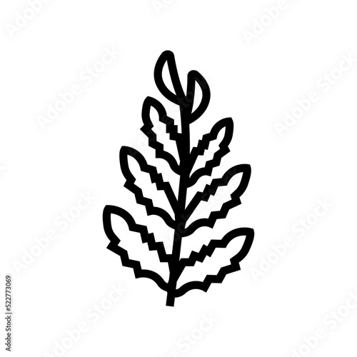 african water fern line icon vector. african water fern sign. isolated contour symbol black illustration