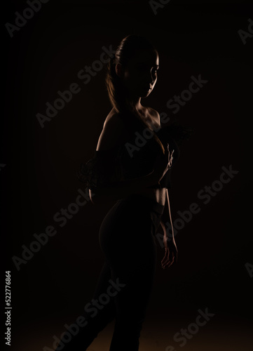 Silhouette of a beautiful girl © qunica.com