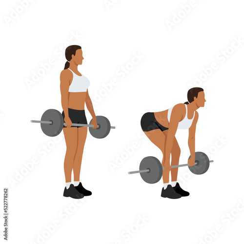 Woman doing Barbell deadlifts exercise. Flat vector illustration isolated on white background