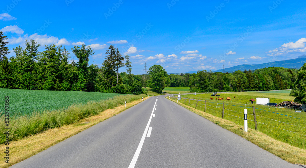 Fototapeta premium Rte de Forel, Puidoux, Schweiz 