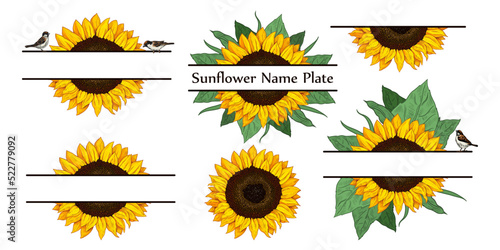 Close-up bright sunflower name plate set. Vector vintage design elements. Hand-drawn vector color sketch. Party Decor..
