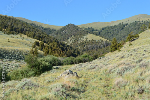 Montana Mountain Landscape