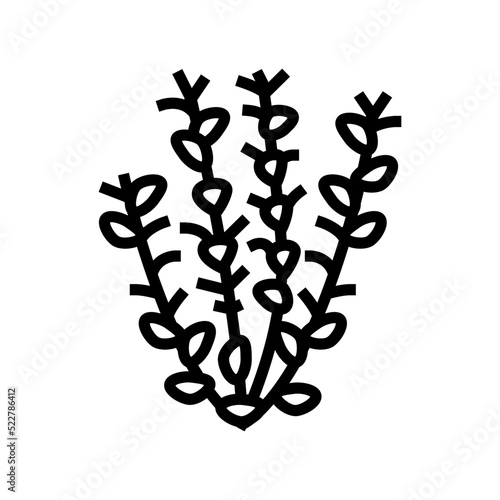 red ludwigia line icon vector. red ludwigia sign. isolated contour symbol black illustration
