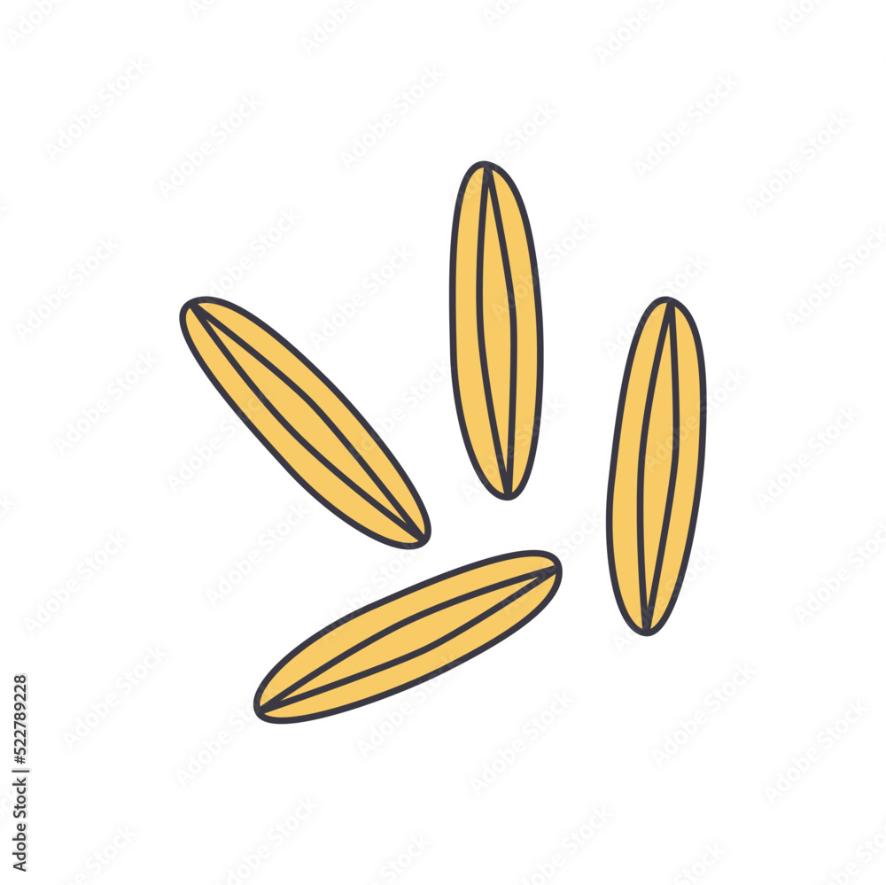 Caraway icon in color, isolated on white background Caraway icon in color, isolated on white background