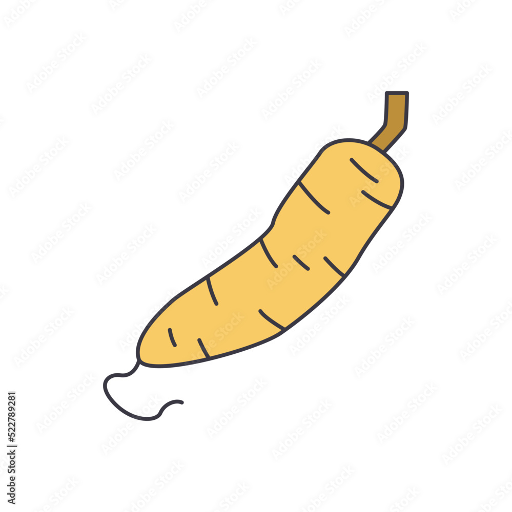 Yucca, tuber, food icon in color, isolated on white background Yucca, tuber, food icon in color, isolated on white background